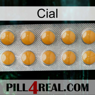 Cial levitra1